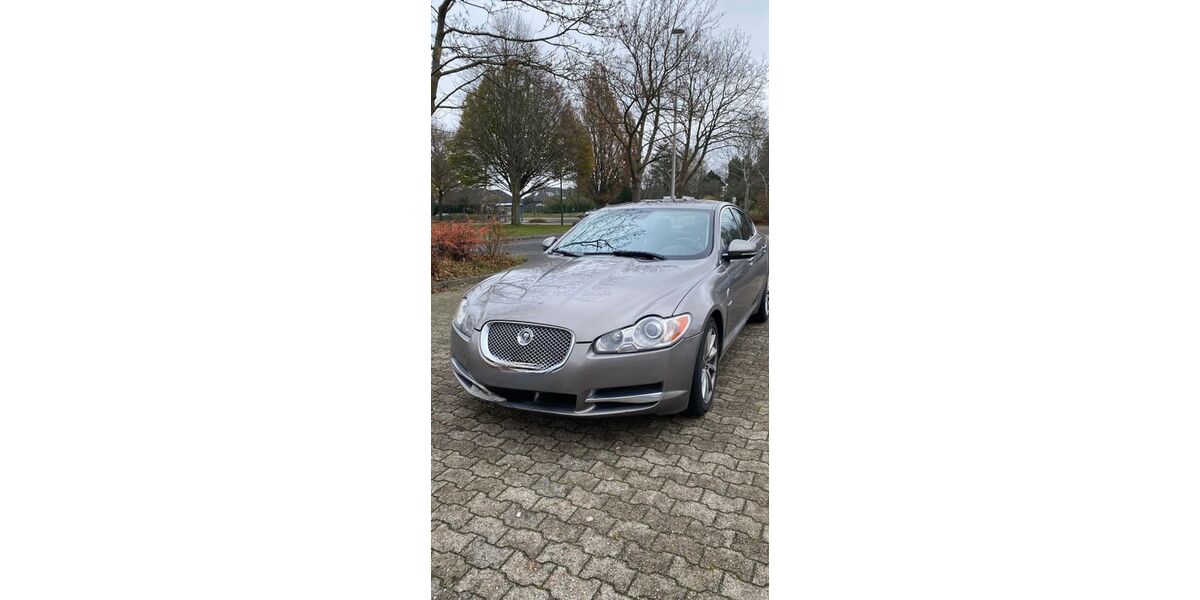 Jaguar XF 211.000 km 6.800 &euro; Splietsdorf 18513